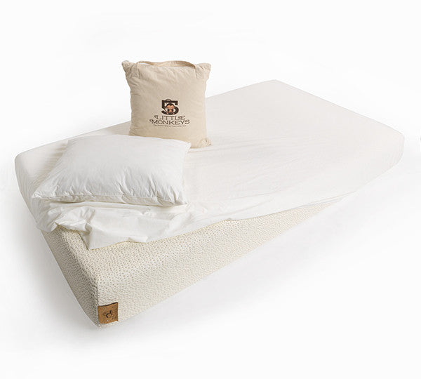The Sleep System